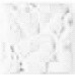 IVY 5,5X5,5 SALT-LAKE (IV10) 5,5X5,5 Керамическая плитка