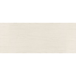 MOONLIGHT  WHITE  TEXT 20X50 (740825) Керамическая плитка