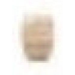 PRECIOUS VISON 1,2X2 AE MAT (729551) Керамическая плитка