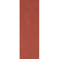 COLOR LINE MARSALA (fNKW) 25x75 Керамическая плитка