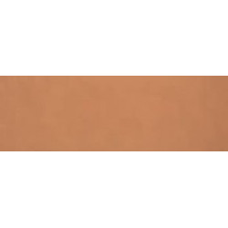 COLOR NOW CURCUMA (fMRQ) 30,5x91,5 Керамическая плитка