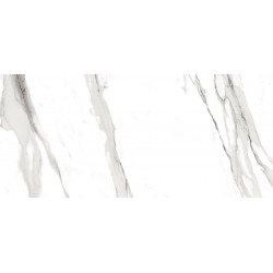 ROMA 30 STATUARIO LUX (fLRW) 30x60 Керамическая плитка