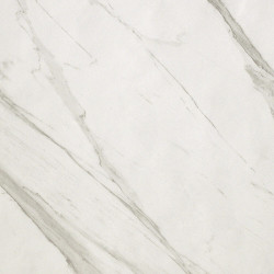 ROMA 20 STATUARIO  (fLX4) 20x20 Керамическая плитка