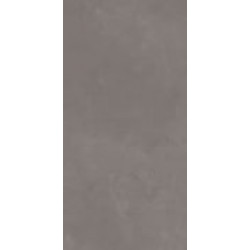 AZMA 36DG RM (AZMA36DGRM) 30x60 Керамогранит