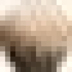 A.CAPRICE B 2.5x2.5 Керамическая плитка