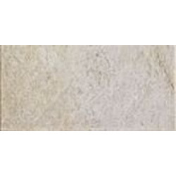 COLOSSEUM13A (COLOSSEUM 13A) 15x30 Керамогранит