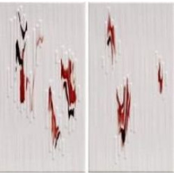 VIBRAM R1 MIX 20x40 Керамическая плитка