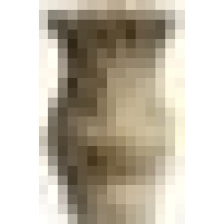 A.MAXIMA 4T 4x2 Керамогранит