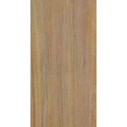 DOUGLAS 100S 50x100 Керамогранит