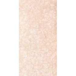 ROSATO 100S 50x100 Керамогранит