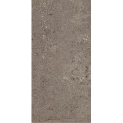 MICRON 36DGL 30x60 Керамогранит