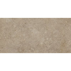 VICENTINA 377 37.5x75 Керамогранит