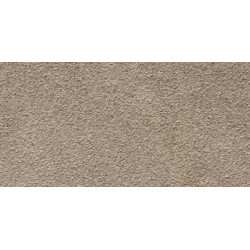 VICENTINA RB377 37.5x75 Керамогранит