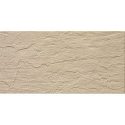 STONE R36A 30x60 Керамогранит