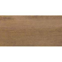 STROBUS 100S 50x100 Керамогранит