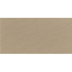 TT 36BG 30x60 Керамогранит