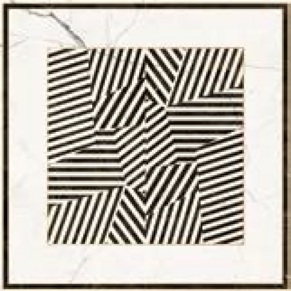 ZEBRA6 120LP (ZEBRA6120LP) 120x120 Керамогранит ZEBRA6 120LP (ZEBRA6120LP) 120x120 Керамогранит