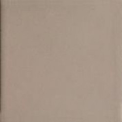 BEIGE10 (TINT BEIGE 10) 10x10 Керамогранит