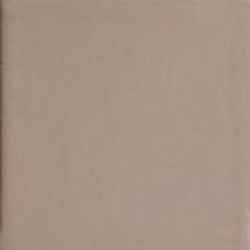 BEIGE20 (TINT BEIGE 20) 20x20 Керамогранит