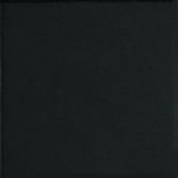 BLACK10 (TINT BLACK 10) 10x10 Керамогранит
