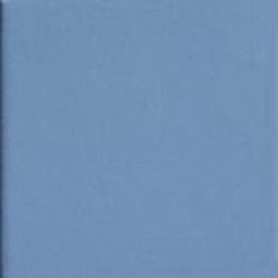 BLUE10 (TINT BLUE 10) 10x10 Керамогранит