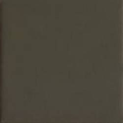 BROWN10 (TINT BROWN 10) 10x10 Керамогранит
