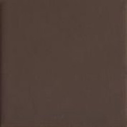 BROWN20 (TINT BROWN 20) 20x20 Керамогранит