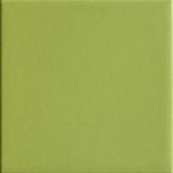 GREEN20 (TINT GREEN 20) 20x20 Керамогранит