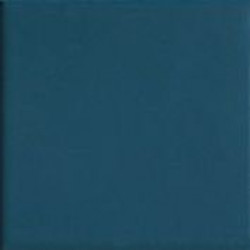NAVY10 (TINT NAVY 10) 10x10 Керамогранит