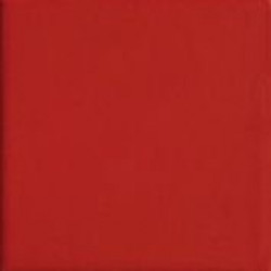 RED10 (TINT RED 10) 10x10 Керамогранит