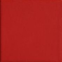 RED20 (TINT RED 20) 20x20 Керамогранит