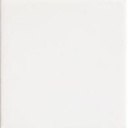 WHITE10 (TINT WHITE 10) 10x10 Керамогранит