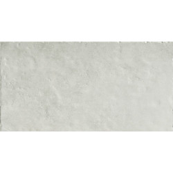ICONE BLANC SQ.SPAZZ. 120X60 (IB01BAS) 120x60 Керамогранит