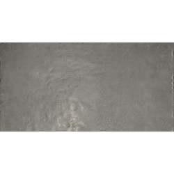 ICONE GRIS SQ.SPAZZ. 120X60 (IB03BAS) 120x60 Керамогранит