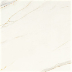 DIGIT CALACAT.RETT. 60X60 (DG0268) 60х60 Керамогранит