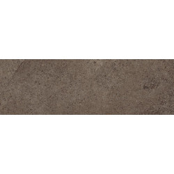 LIMESTONE BROWN SQ. 20X60 (TX06L2) 20х60 Керамогранит