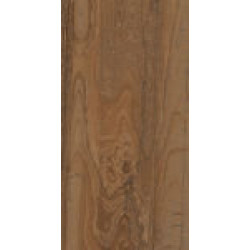 RDKA 12BS RM (RDKA12BSRM) 60x120 Керамогранит