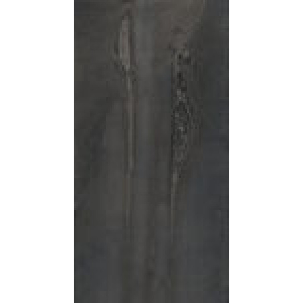 RDKA 12DG LP (RDKA12DGLP) 60x120 Керамогранит