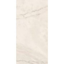 TREX 12W RM (TREX12WRM) 60x120 Керамогранит