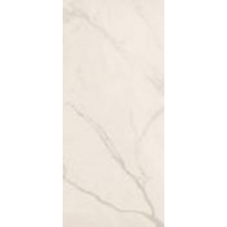 TREX6 260W LP (TREX6260WLP) 120x260 Керамогранит