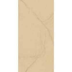 TREX 12W LP (TREXDK12WLP) 60x120 Керамогранит