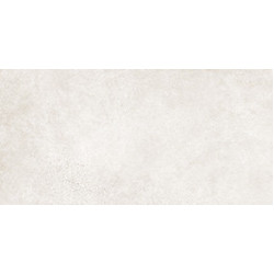 ALLEY BONE/50X100/R (23408) 50x100 Керамогранит
