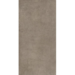 DETROIT TAUPE/50X100/R (22221) 50x100 Керамическая плитка