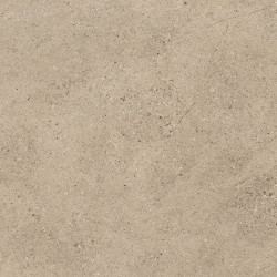 EVOLUTION TAUPE/100X100/R (22225) 100x100 Керамическая плитка