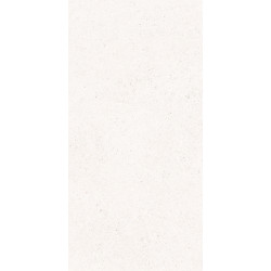 EVOLUTION BONE/50X100/R (22227) 50x100 Керамическая плитка