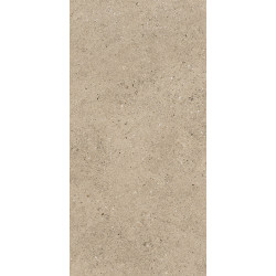 EVOLUTION TAUPE/50X100/R (22228) 50x100 Керамическая плитка