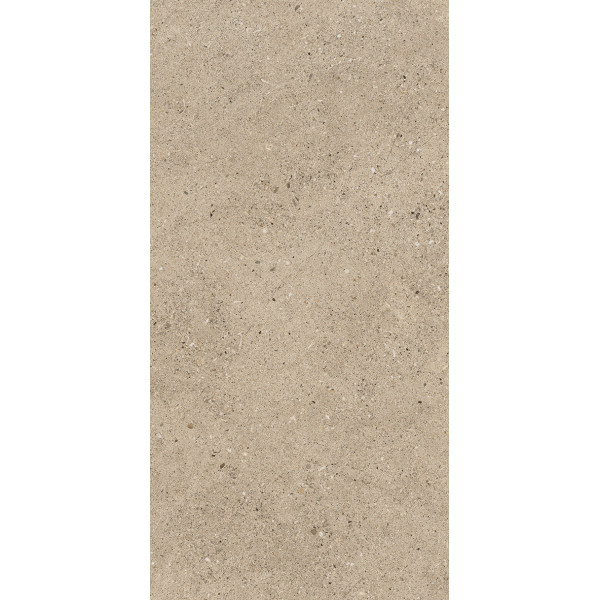 EVOLUTION TAUPE/50X100/R (22228) 50x100 Керамическая плитка