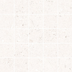 D.EVOLUTION BONE MOSAIC/25X25 (22622) 25x25 Керамическая плитка