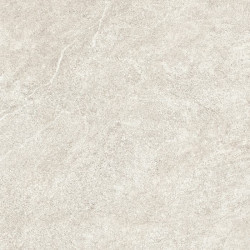 NATURE BEIGE SF/60X60/C/R