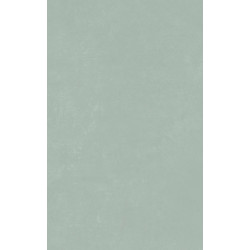 *PLANET SILVER/30,2X60,7/SF/R (22467) 30,2x60,7 Керамическая плитка